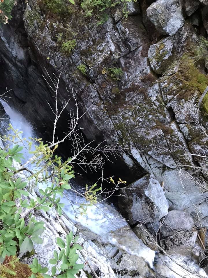 fallsontrailtoredfield