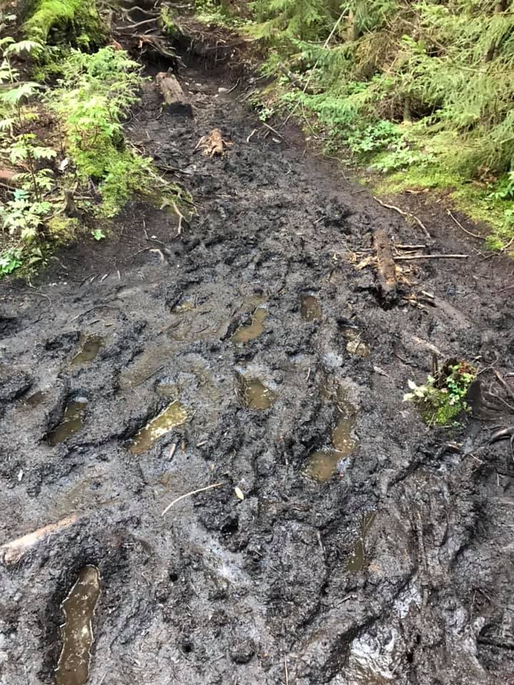 mud to redfield
